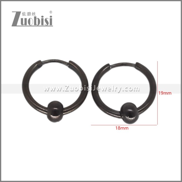 Stainless Steel Earring e002713H