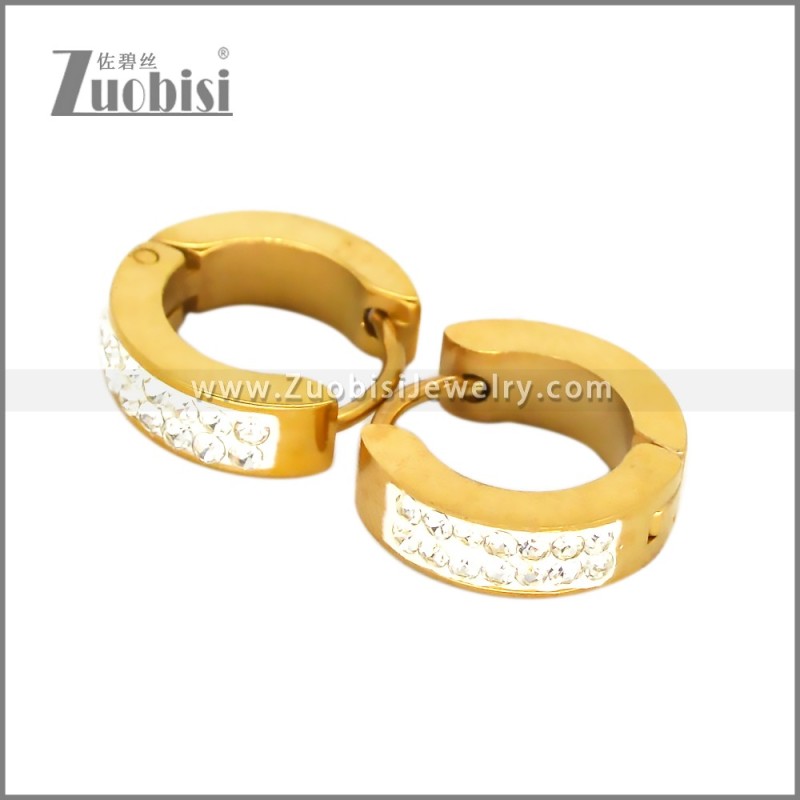 Stainless Steel Earring e002717G