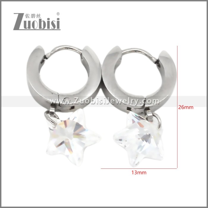 Stainless Steel Earring e002710