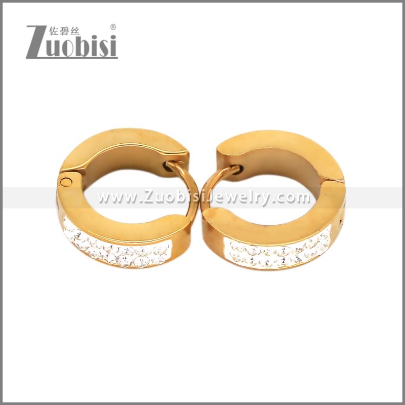 Stainless Steel Earring e002717G