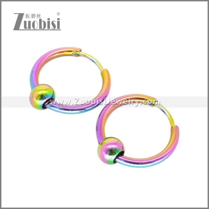Stainless Steel Earring e002713C