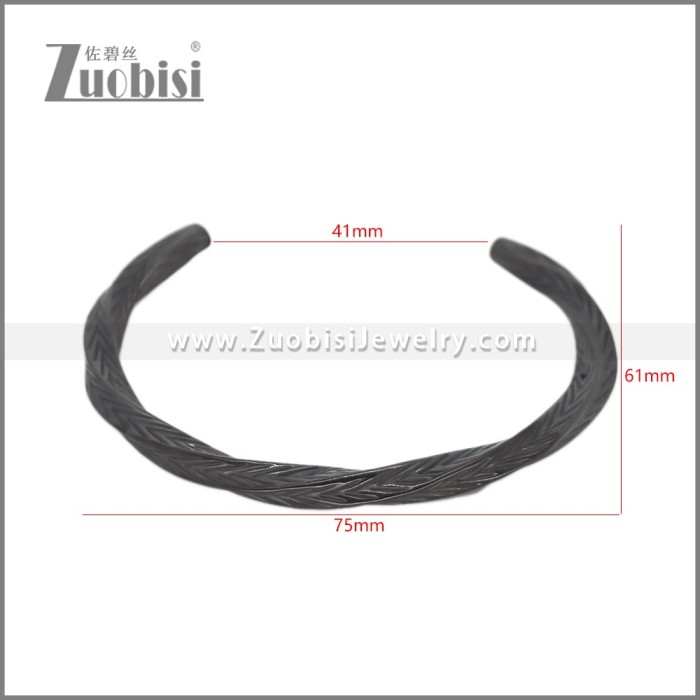 Stainless Steel Bangle b010812H