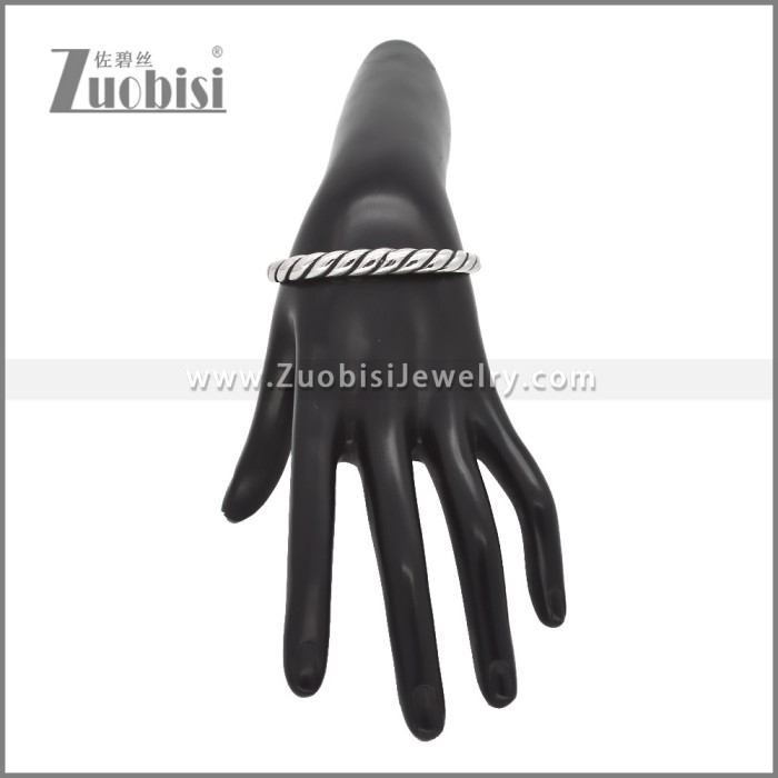 Stainless Steel Bangle b010866