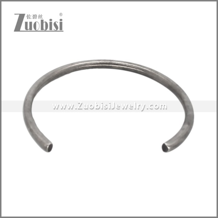 Stainless Steel Bangle b010856