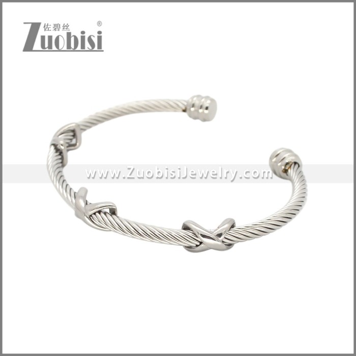 Stainless Steel Bangle b010865