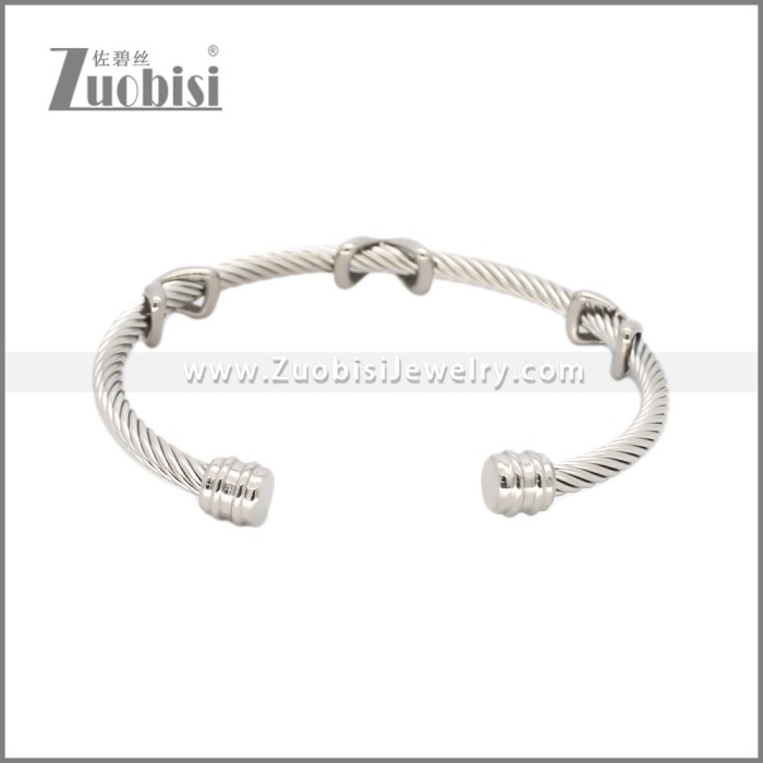 Stainless Steel Bangle b010865