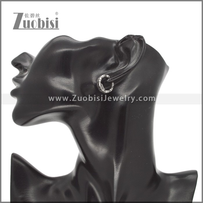 Stainless Steel Earring e002770
