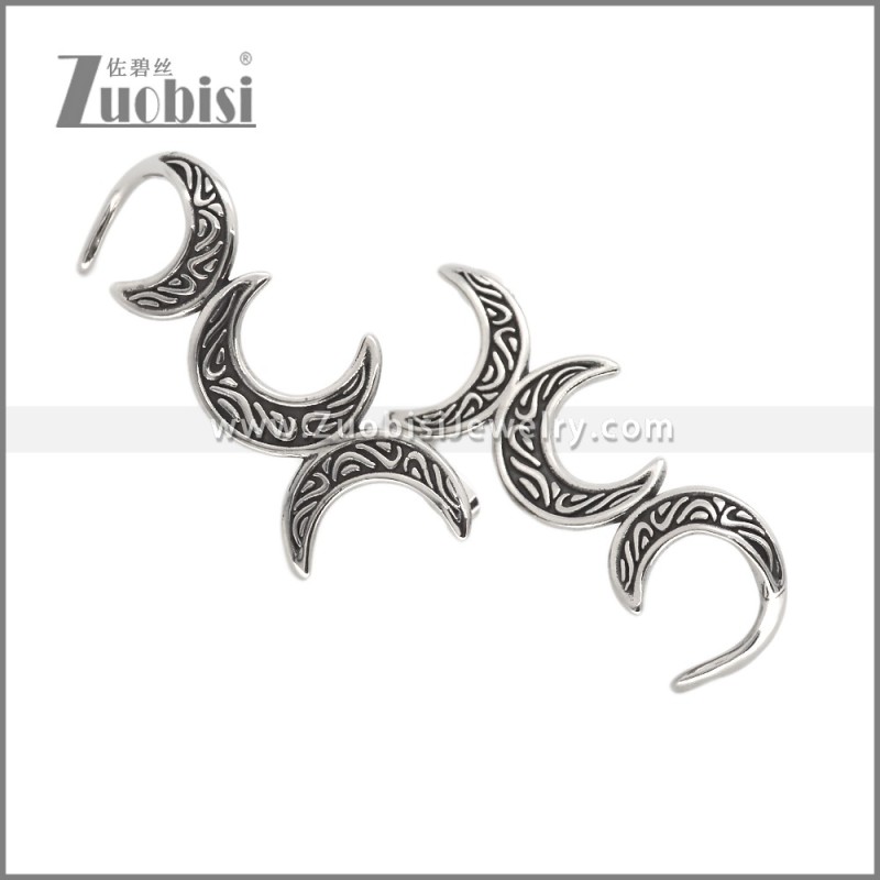 Stainless Steel Earring e002743