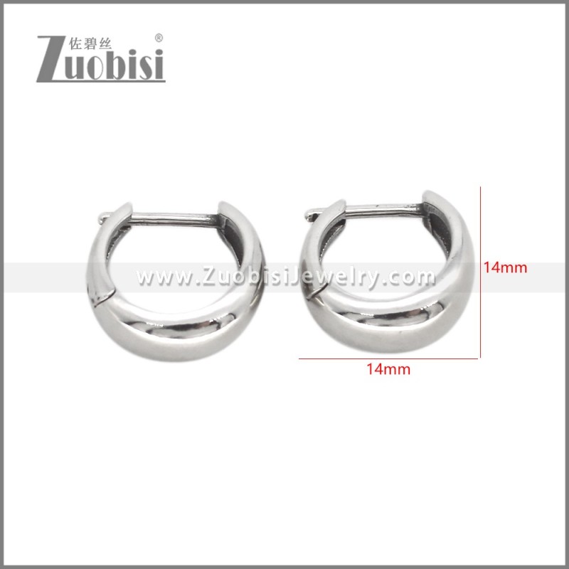 Stainless Steel Earring e002752
