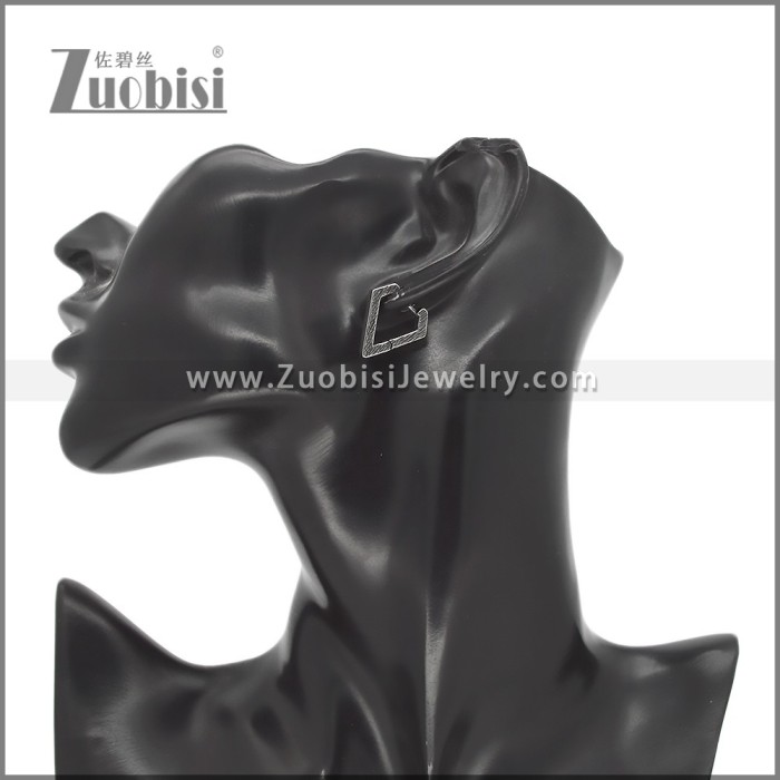 Stainless Steel Earring e002757