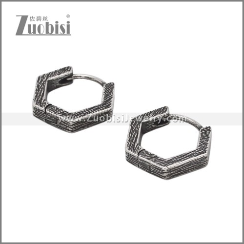 Stainless Steel Earring e002765
