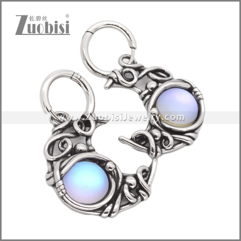 Stainless Steel Earring e002735