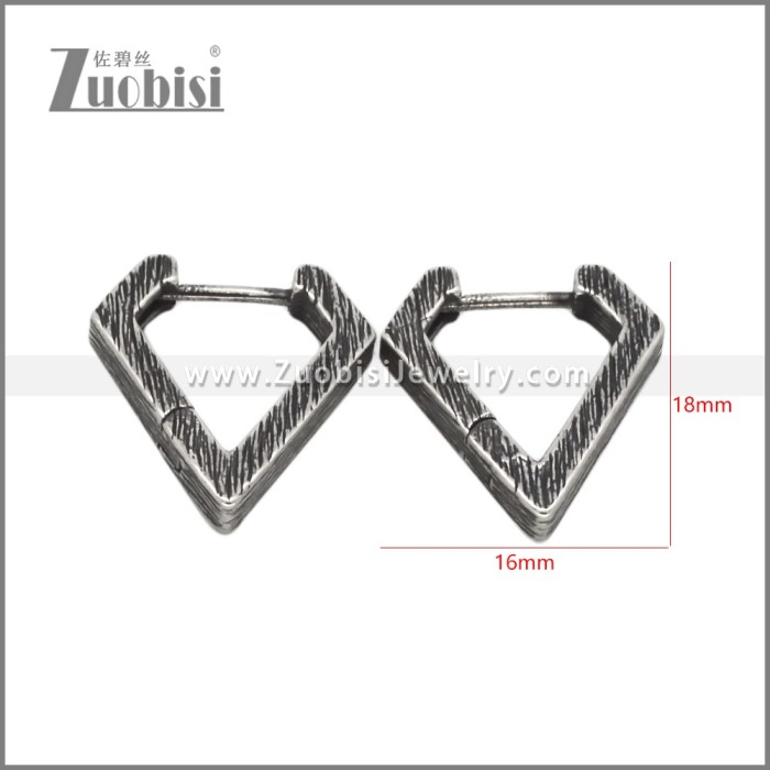 Stainless Steel Earring e002757