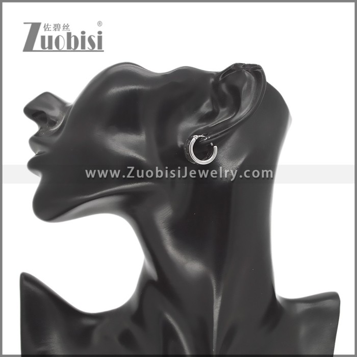 Stainless Steel Earring e002753