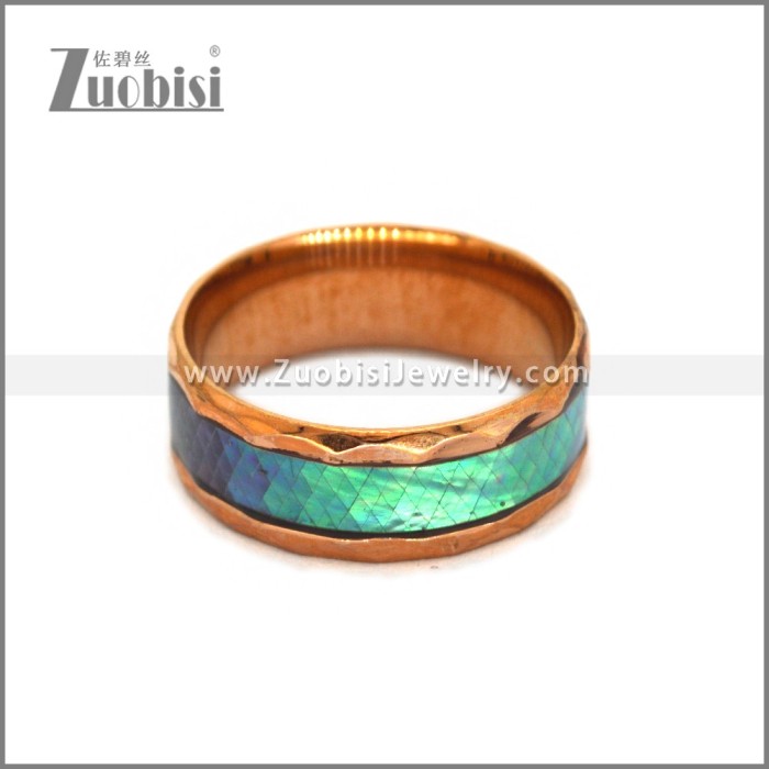Stainless Steel Ring r010476R