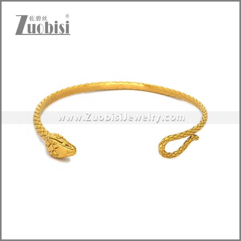 Stainless Steel Bangle b010940G