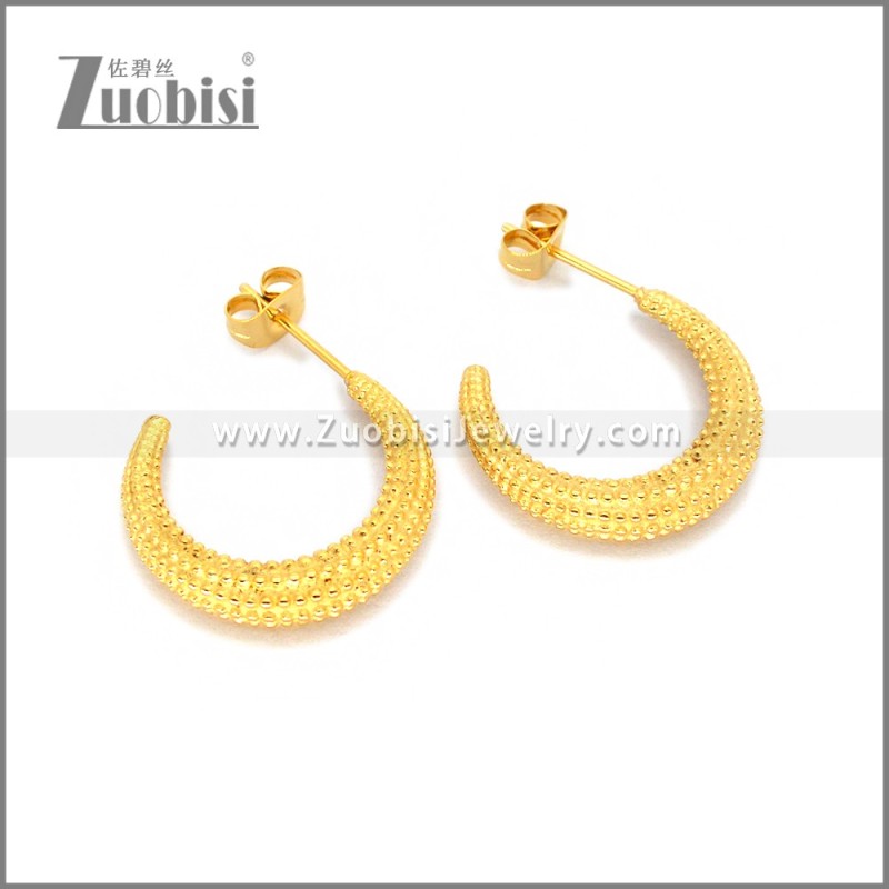 Stainless Steel Earring e002786G