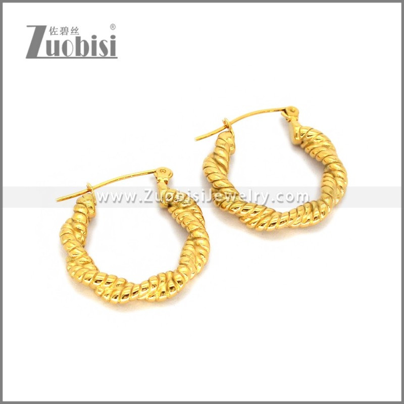Stainless Steel Earring e002785G