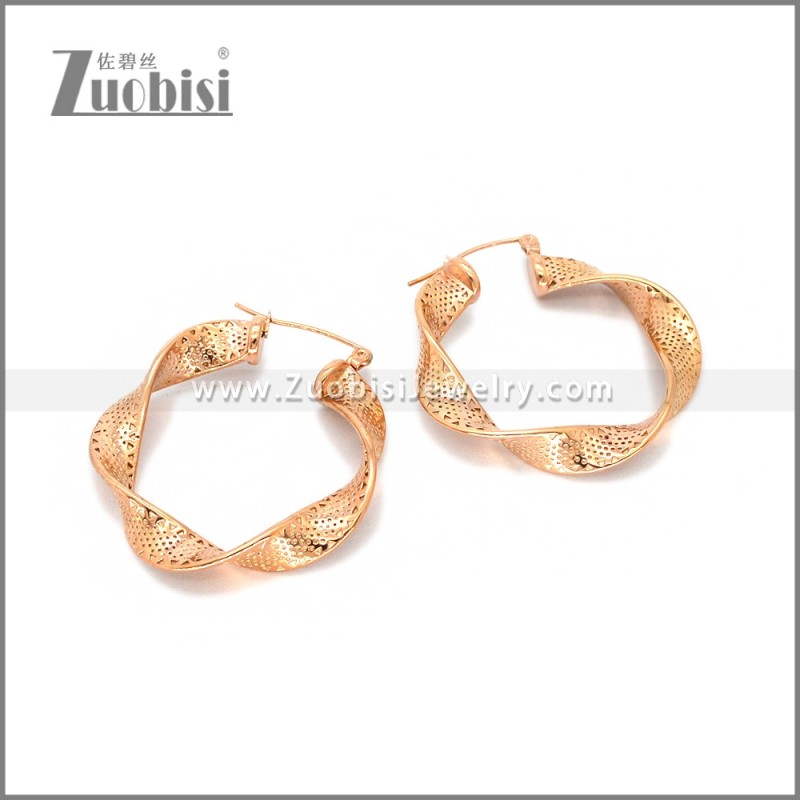 Stainless Steel Earring e002782R