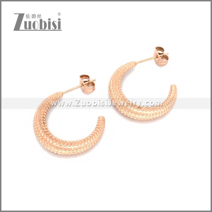 Stainless Steel Earring e002786R