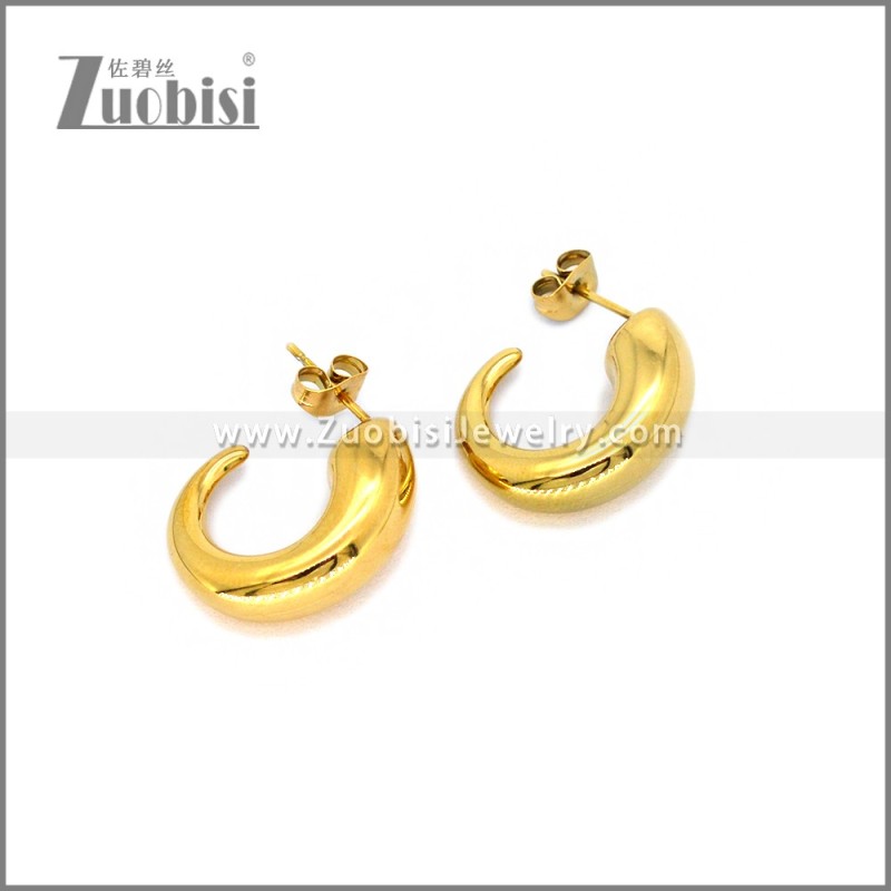 Stainless Steel Earring e002779G1
