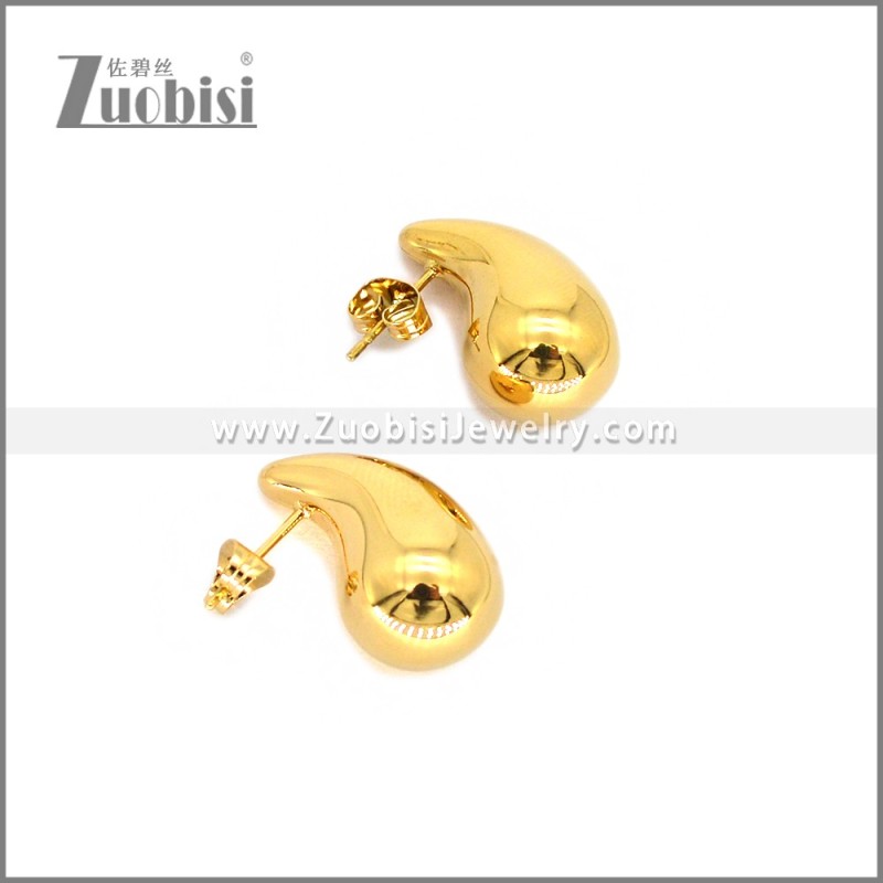 Stainless Steel Earring e002780G