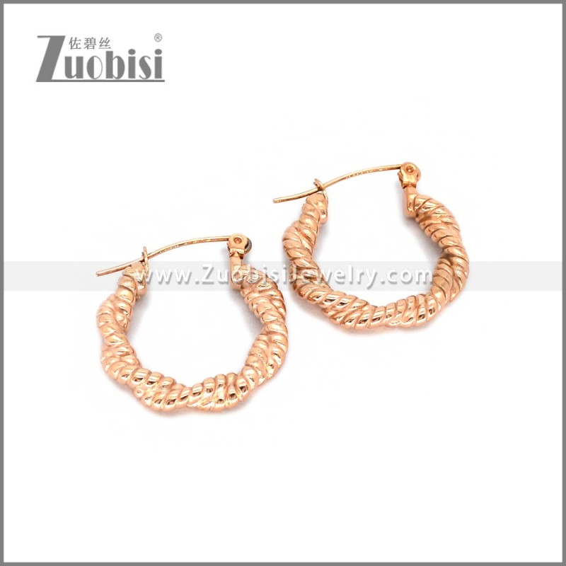 Stainless Steel Earring e002785R