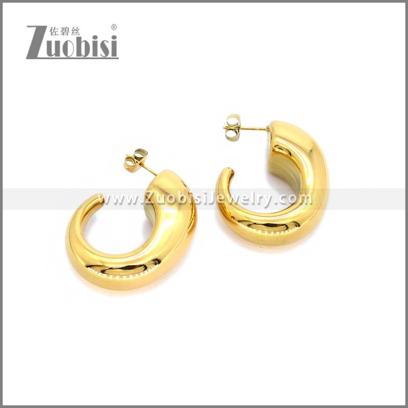 Stainless Steel Earring e002779G2