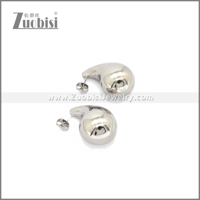 Stainless Steel Earring e002780S