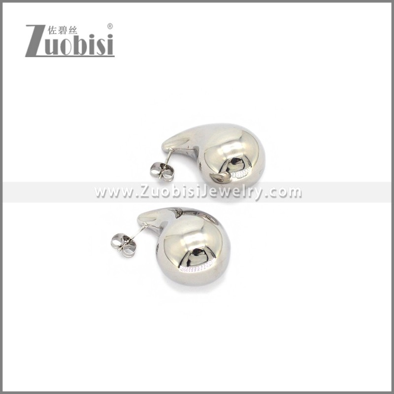 Stainless Steel Earring e002780S