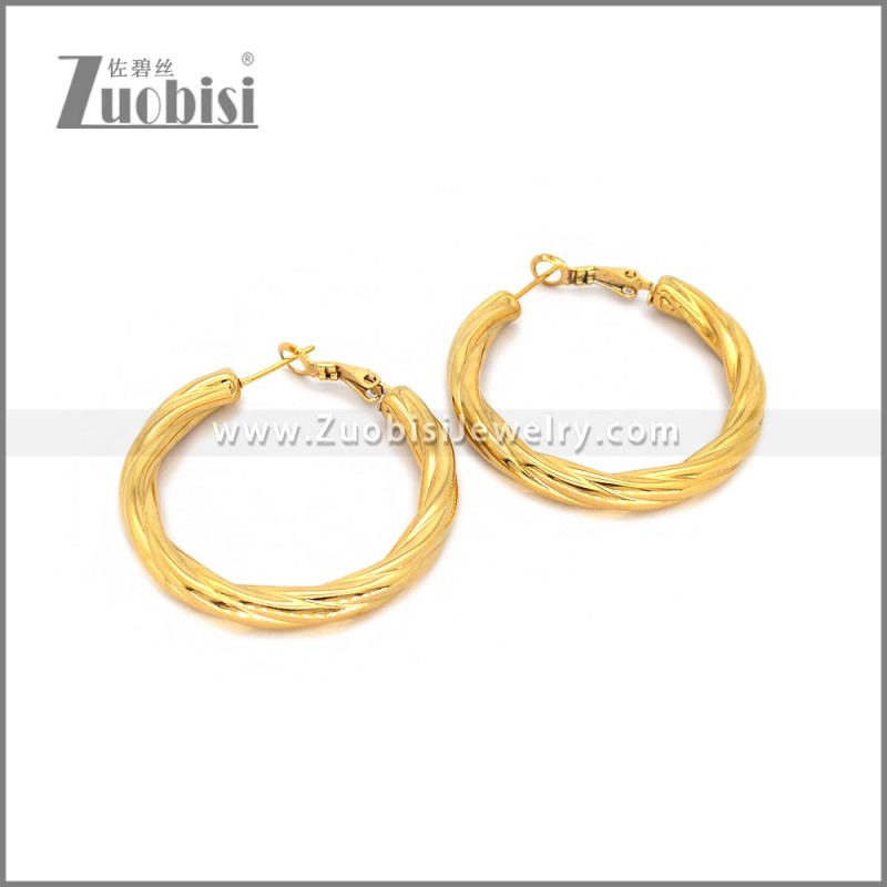 Stainless Steel Earring e002784G