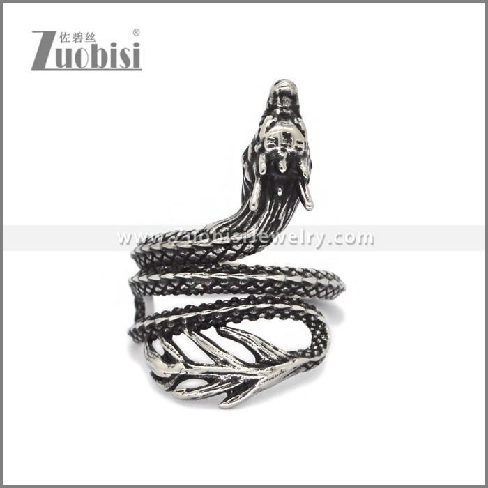 Stainless Steel Ring r010489S