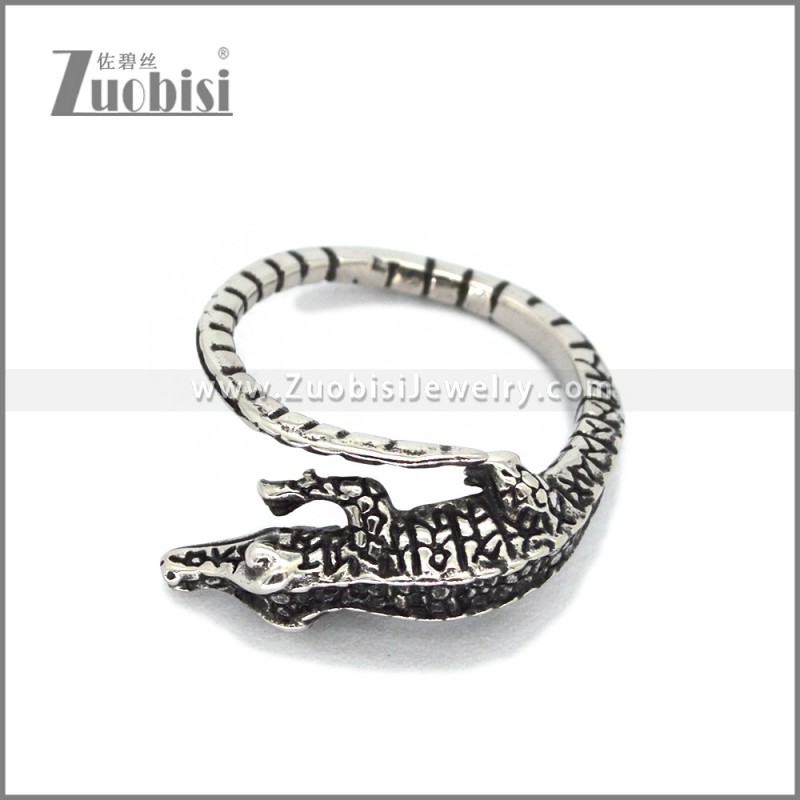 Stainless Steel Ring r010491S1