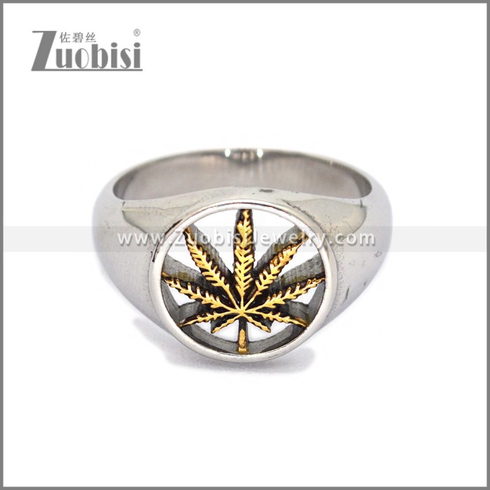 Stainless Steel Ring r010542SG