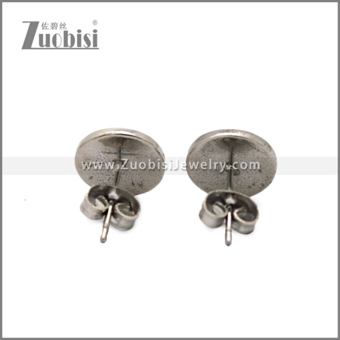 Stainless Steel Earring e002788S