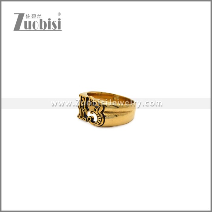 Stainless Steel Ring r010630GH