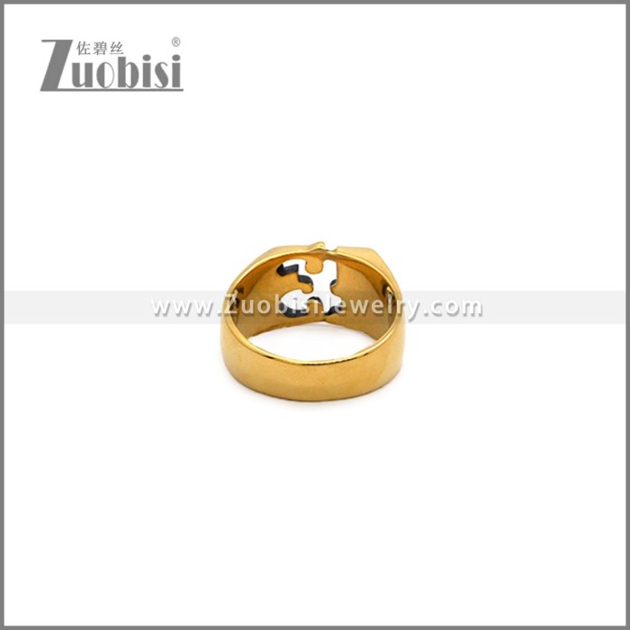 Stainless Steel Ring r010630GH