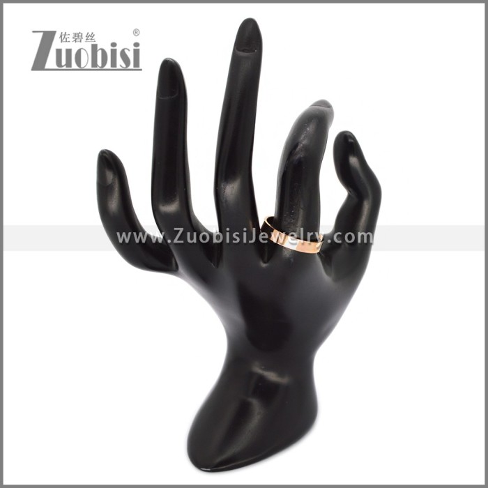 Stainless Steel Ring r010656R