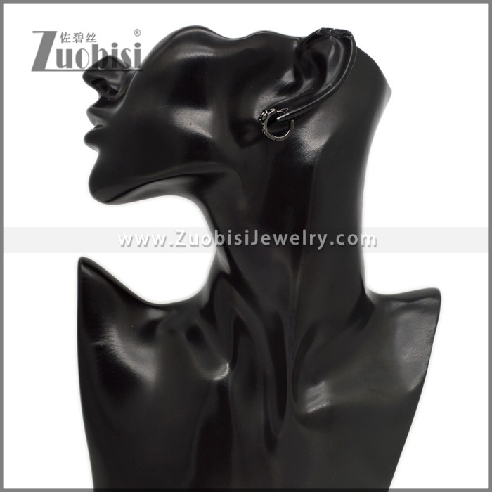 Stainless Steel Earring e002789H