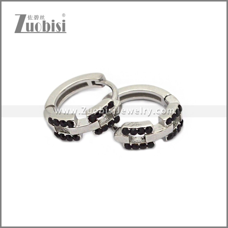 Stainless Steel Earring e002791SH