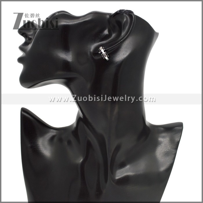 Stainless Steel Earring e002791SH
