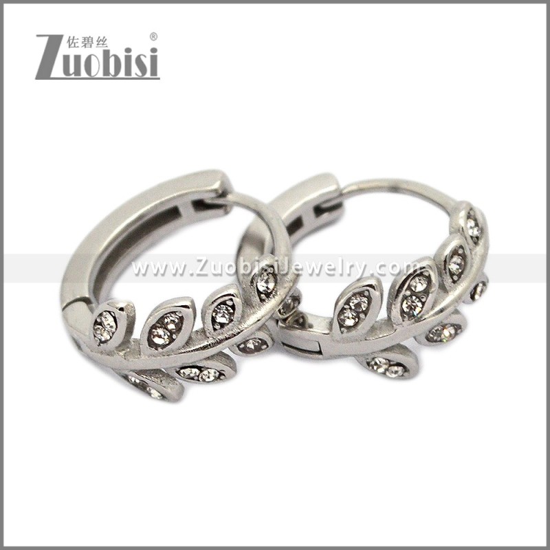 Stainless Steel Earring e002790S