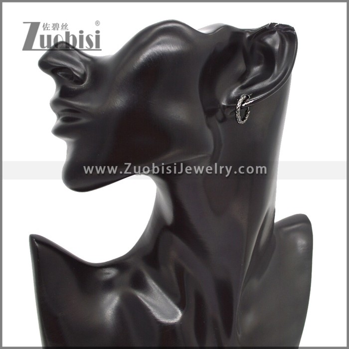 Stainless Steel Earring e002793H