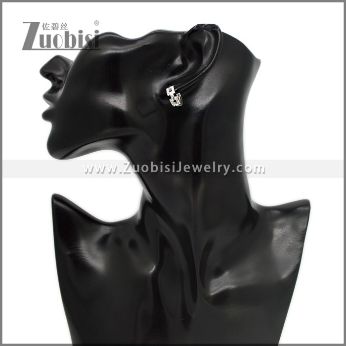 Stainless Steel Earring e002791S