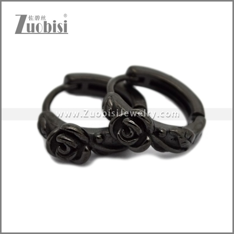 Stainless Steel Earring e002789H