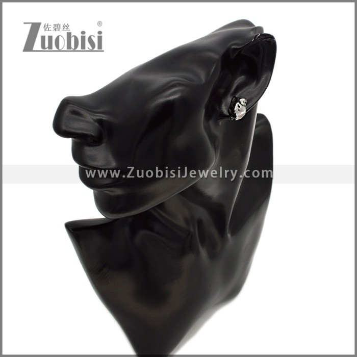 Stainless Steel Earring e002794S
