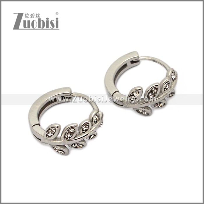 Stainless Steel Earring e002790S