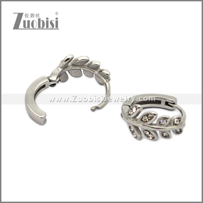 Stainless Steel Earring e002790S