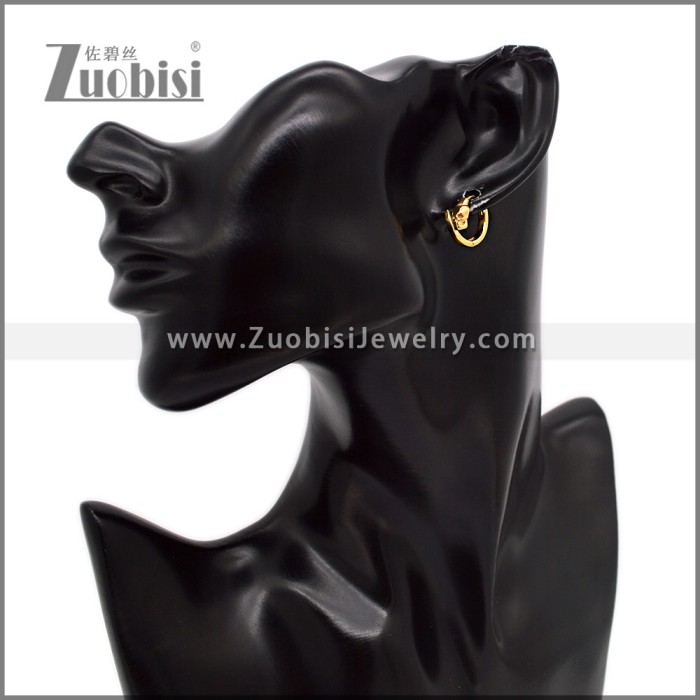 Stainless Steel Earring e002792G