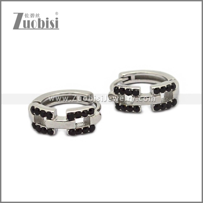 Stainless Steel Earring e002791SH